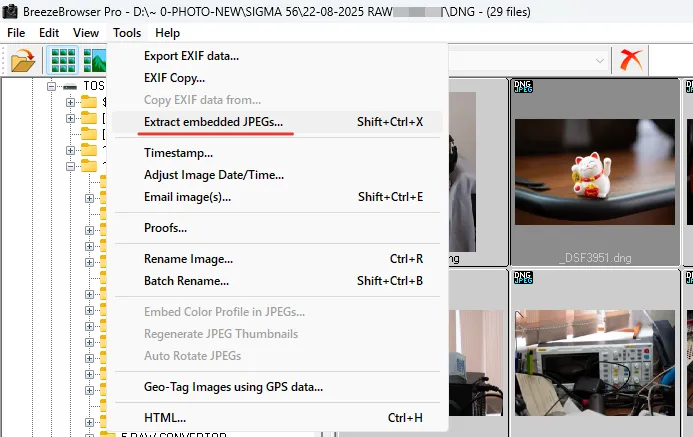 Извлечение из DNG-файла нужного нам JPG-файла с помощью BreezeBrowser Pro.